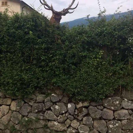 Nel Cuore Del Parco Nazionale D'abruzzo فيلة *